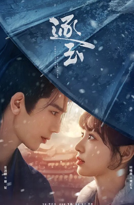把她灌醉喂她吃鸡巴 - 小马X母狗
